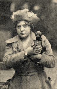 98663 Afbeelding van het kleinste hondje van Nederland, de Duitse dwergpintscher 'Daisy', op de tweede gecombineerde ...